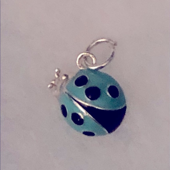 tiffany blue ladybug charm Off 78 